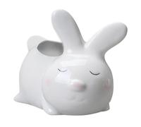 CALLARON Pot à Fleurs Lapin en Céramique pour Succulentes, Blanc