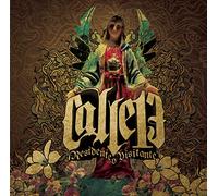 Calle 13 - Residente O Visitante