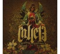 Calle 13 - Residente O Visitante