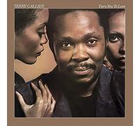 Callier,Terry - Turn You to Love