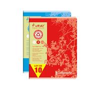 Calligraphe 17103C Un Lot de 10 Cahiers Agrafés Forever (une Marque de Clairefontaine) - 17x22 cm - 96 Pages Grands Carreaux - Papier 100 % Recyclé 70 g - Couverture Recyclée - Couleurs Aléatoires