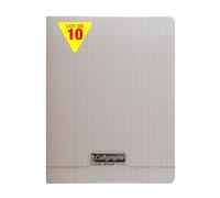 Calligraphe 18116Cpack Un lot de 10 Cahiers Agrafés Gris (une Marque de Clairefontaine) - 17x22 cm - 60 Pages Grands Carreaux - Papier Blanc 90 g - Couverture Polypro Transparent