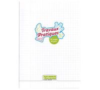 Calligraphe 18187C Un Cahier de Travaux Tratiques Agrafé Incolore (une Marque de Clairefontaine) - A4 21x29,7cm - 96 Pages Grands Carreaux et Unies - Papier Blanc 90 g - Couverture Polypro Transparent