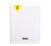 Calligraphe 18259Cpack Un lot de 5 Cahiers Agrafés Incolores (une Marque de Clairefontaine) - A4 21x29,7 cm - 140 Pages Grands Carreaux - Papier Blanc 90 g - Couverture Polypro Transparent