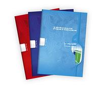 Clairefontaine Cahier travaux pratiques Calligraphe 7597C A4 48 f. Grands carreaux 70g/unies 90g