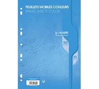 Calligraphe 7962C Un Paquet de Feuillets Mobiles Perforés Bleus sous Film (une Marque de Clairefontaine) - A4 21x29,7 cm - 100 Pages Grands Carreaux - Papier 80 g