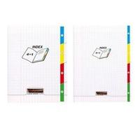 Clairefontaine Cahier agrafé 18229C 4 index 24×32 cm 140 p. grands carreaux 90 g polypro transparent