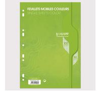 CALLIGRAPHE Feuilles simples couleur Vert perforées - 210 x 297 mm - 100 pages - Seyes papier Vélin Surfin 80 g avec encart
