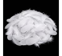 CALLYSONIC Lot de 200 plumes blanches, 8 à 12 cm, plumes blanches, pour bricolage, plumes naturelles, décoration de plumes, fournitures de bricolage pour bricolage, artisanat, design, coiffure, fleurs