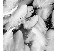 CALLYSONIC Lot de 200 plumes pour travaux manuels, jouets pour chat, grandes plumes pour boucles d'oreilles, mariage, attrape-rêves, plumes blanches