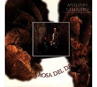 Antonio Calogero - La Rosa Del Deserto