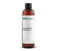Calophylle Inophyle BIO (Calophyllum inophyllum) - 250 mL - Huile Végétale Vierge et Certifiée Cosmos - Aroma Labs - Made in France