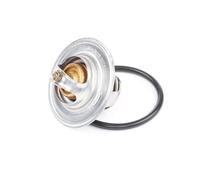 CALORSTAT by Vernet TH6276.87J Thermostat d'eau