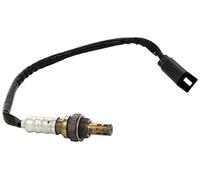 Calorstat LS140025 Sonde lambda