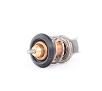 Thermostat d'eau CALORSTAT BY VERNET TH9200.88J