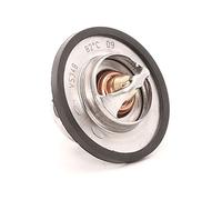 Calorstat TH5108.83J Thermostat d'eau