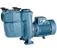 Calpeda NMP 50/12D/A Pompe de PISCIN avec préfiltre amorçage Triphasé 4Hp Fonte