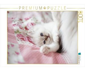 CALVENDO 7700872 Puzzle Multicolore