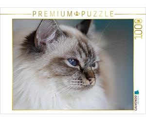 CALVENDO 7700876 Puzzle Multicolore