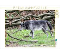 CALVENDO 7705053 Puzzle Multicolore