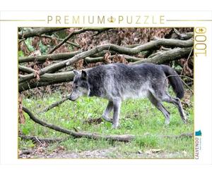 CALVENDO 7705053 Puzzle Multicolore