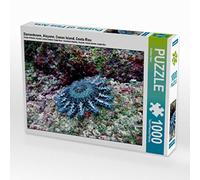 CALVENDO Andrea Hess Puzzle Couronne d'épines Alcyone Île Cocos Costa Rica 1000 pièces Taille 64 x 48 cm Photo Puzzle Image