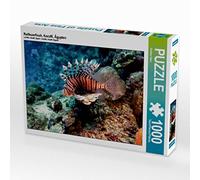 CALVENDO Andrea Hess Puzzle Poisson Lion Rouge Coraffi Égypte 1000 pièces Taille de la Pose 64 x 48 cm Photo Puzzle Image