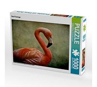 CALVENDO Angela Dölling AD Design Photo de Puzzle 1000 pièces Motif Flamant Rose 64 x 48 cm