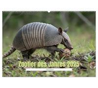 CALVENDO - Animal du zoo de l'année 2025 - Animal de ceinture (calendrier mural 2027 DIN A2 paysage), calendrier mensuel : aperçu fascinant dans le monde des animaux de ceinture.