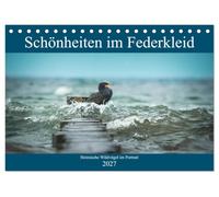 CALVENDO - Beautés dans la robe à plumes - Oiseaux sauvages domestiques en portrait (calendrier de table 2027 DIN A5 paysage), calendrier mensuel : un aperçu de la diversité des couleurs de nos