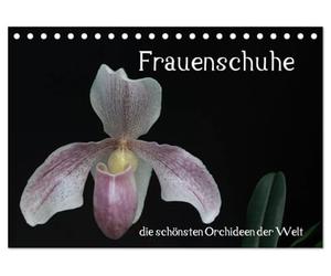 CALVENDO - Chaussures de femme - Les plus belles orchidées du monde (calendrier de table 2027 DIN A5 paysage) - Calendrier mensuel : chaussures pour femme - Les plus belles orchidées du monde