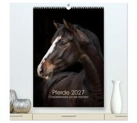 CALVENDO - Chevaux 2027 - Tête de personnage devant l'appareil photo (calendrier mural 2027 de qualité supérieure DIN A2 haut), impression artistique brillante : portraits de chevaux expressifs