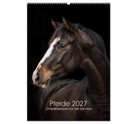CALVENDO - Chevaux 2027 - Têtes de personnages devant l'appareil photo (calendrier mural 2027 DIN A2 haut), calendrier mensuel : portraits de chevaux expressifs