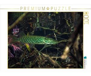 CALVENDO Christian Suttrop Puzzle brochet dans Le lac à Truite, Nordhausen 1000 pièces, Taille de la Ponte, 64 x 48 cm, Photo de Puzzle