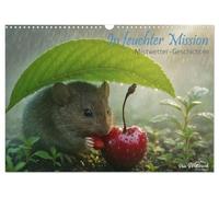 CALVENDO - Dans une mission humide - Histoires de météo brume (calendrier mural 2027 DIN A3 paysage), calendrier mensuel : tôt le matin, avec caméra et trépied dans l'herbe humide, je cherche des
