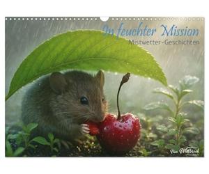 CALVENDO - Dans une mission humide - Histoires de météo brume (calendrier mural 2027 DIN A3 paysage), calendrier mensuel : tôt le matin, avec caméra et trépied dans l'herbe humide, je cherche des