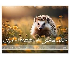 CALVENDO - Hérisson - Animal sauvage de l'année 2024 (calendrier mural 2027 DIN A2 paysage) - Calendrier mensuel : avec fourrure épineuse pour la chasse aux escargots et aux larves dans le jardin