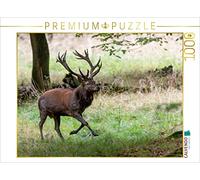 CALVENDO Ingo Gerlach Puzzle Excite Le Cerf de Place Chasse Les Bulles Latérales 1000 Pièces Taille 64 x 48 cm Photo Puzzle Image