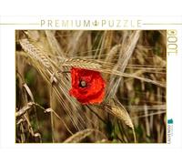 CALVENDO Jürgen Schäpers Puzzle Coquelicot Rouge Prairie Colorée 1000 Pièces Taille de la Pose 64 x 48 cm Photo Puzzle Image
