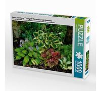 CALVENDO Jutta Heußlein Puzzle Hosta « June Fever », « Twilight », « Fire and Ice » avec Heuchera de 1000 pièces, Taille 64 x 48 cm