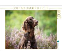 CALVENDO Le Temps du Puzzle avec Le Chien n'est jamais Perdu - Taille de la Pose - Puzzle Photo pour des Heures heureuses