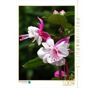 CALVENDO Martina Cross Puzzle Double néon White Diva Fuchsia Blanc 1000 pièces Taille 48 x 64 cm