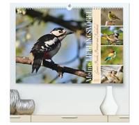 CALVENDO Mes oiseaux préférés (calendrier mural 2027 de qualité supérieure DIN A2 paysage) - Impression artistique brillante : toute la splendeur, portrait et robe à plumes