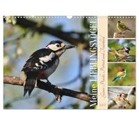 CALVENDO Mes oiseaux préférés (calendrier mural 2027 DIN A3 paysage), calendrier mensuel : toute la splendeur, portrait et robe à plumes