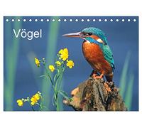 CALVENDO - Oiseaux (calendrier de bureau 2027 DIN A5 paysage), calendrier mensuel : oiseaux devant l'appareil photo