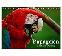 CALVENDO - Perroquets - Coloré, fort et intelligent (calendrier de bureau 2027 DIN A5 paysage) - Calendrier mensuel : les aras et les cacados sont des beautés intelligentes dans une magnifique robe à