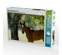 CALVENDO Petra Schiller Puzzle Mignon Poulain Pur-Sang 1000 pièces Taille de la Pose 64 x 48 cm Photo Puzzle Photo Puzzle Image