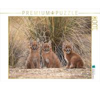 CALVENDO Puzzle 3 Petits caracals 1000 Pieces 64 x 48 cm from MaVo Tier- und Naturfotografie
