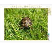 CALVENDO Puzzle Griechisches Landschildkröten Baby auf der Wiese | 1000 Teile Le