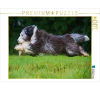 CALVENDO Puzzle Colley Barbu Volant au-Dessus de la Prairie 1000 Pieces 64 x 48 cm from Sista-Tierfoto